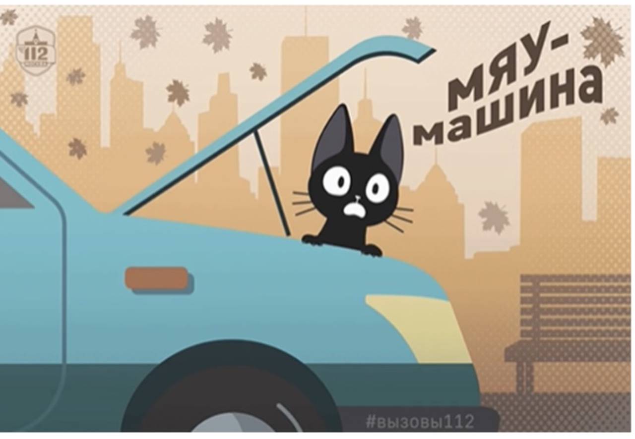 Осторожно хвостатые в машине