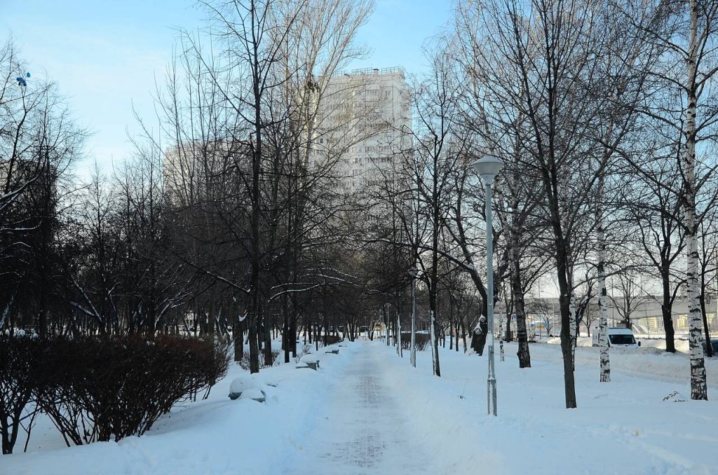 Синоптики рассказали об облачности и снегопадах в Москве и области. Фото: Анна Быкова, Вечерняя Москва