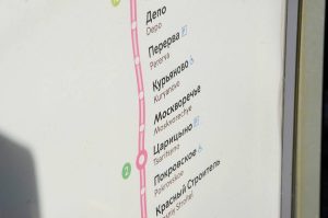 Елку можно перевозить на МЦД если она не превышает 180 сантиметров по сумме трех измерений. Фото: Анна Быкова, «Вечерняя Москва»