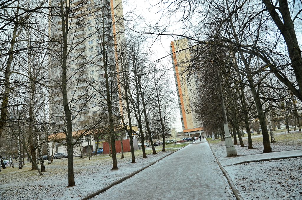 Синоптики спрогнозировали небольшой снег и облачную погоду в столичном регионе. Фото: Анна Быкова, «Вечерняя Москва»