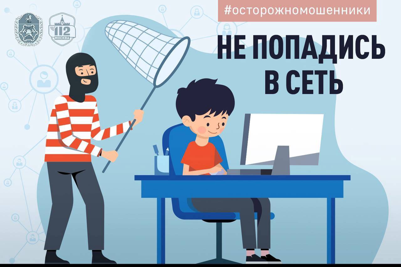 Не попадись в сеть