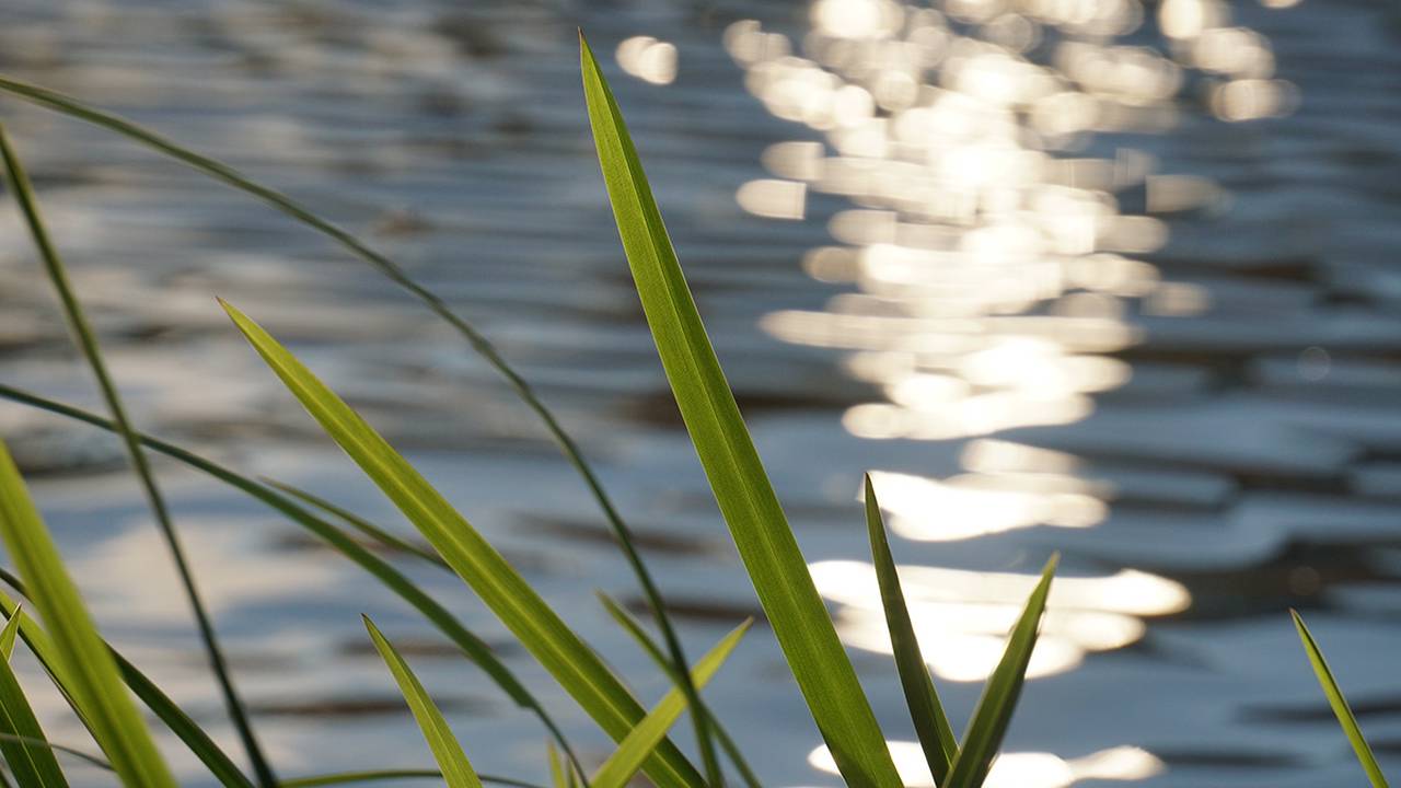 «Купание запрещено!»: на каких водоемах в ЮАО произведут замену знаков безопасности