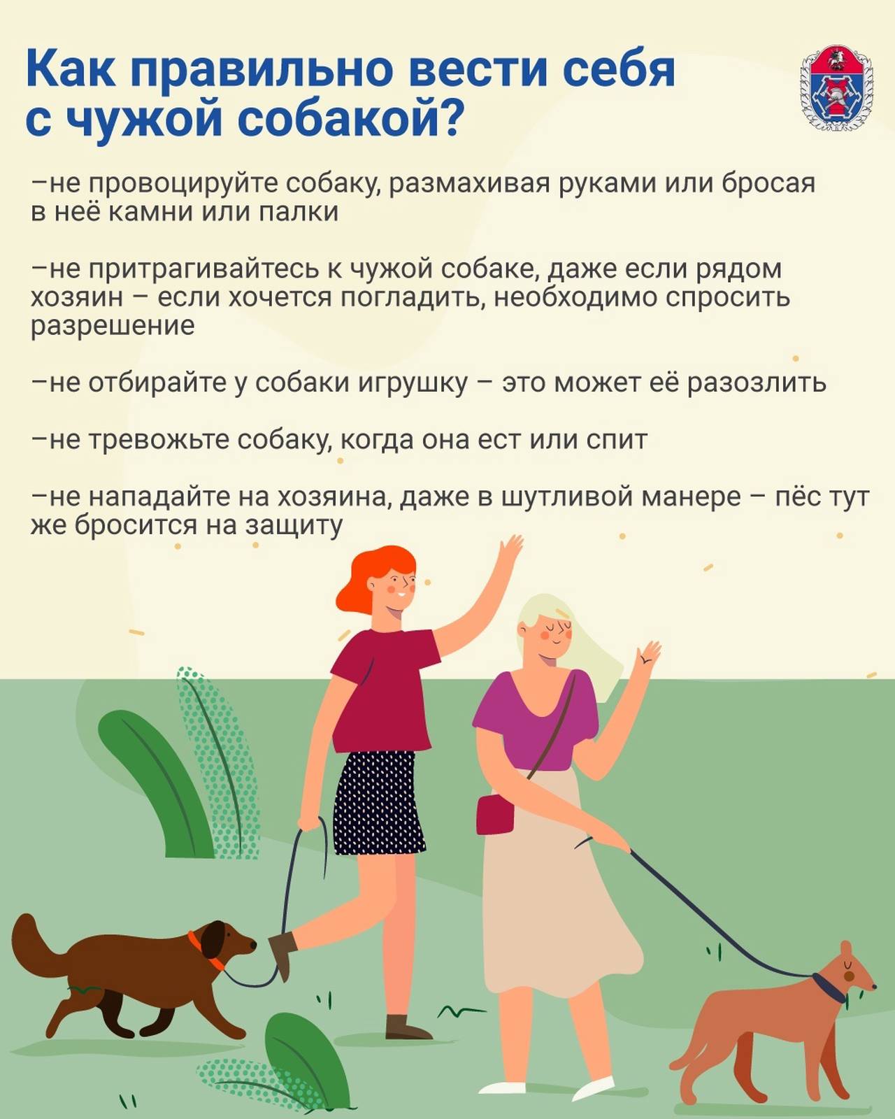 Выгул по правилам