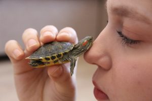 Фото Ирины Тищенко из Бирюлево. Фото: пресс-служба РОО «Объединение многодетных семей Москвы»