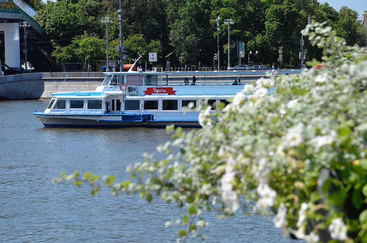 Самыми популярными маршрутами у жителей столицы стали три города Золотого кольца России. Фото: Анна Быкова, «Вечерняя Москва»