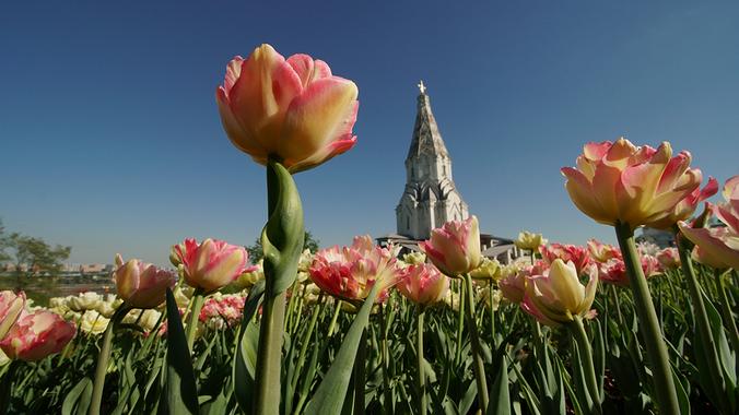 Выбор сделали уже 148 341 человек. Фото: Анатолий Цымбалюк, «Вечерняя Москва»