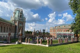 Профилактическое мероприятие состоится в МЗ «Царицыно». Фото: Виктория Биятова, «Вечерняя Москва»