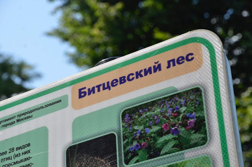 Жители ЮАО смогут насладиться просмотром цветения редких растений на территории парка «Битцевский лес»
