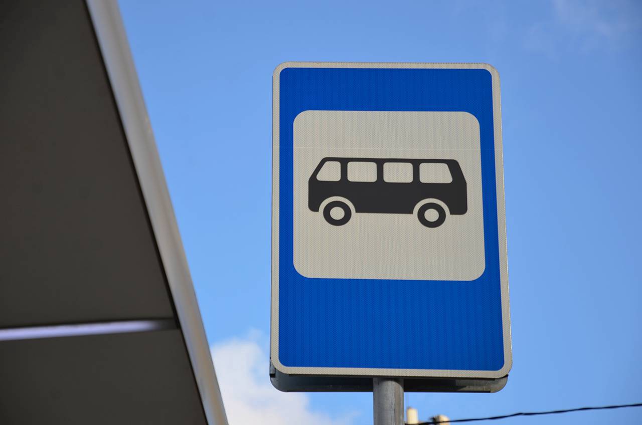 В будни на двух маршрутах будут работать 14 электробусов. Фото: Анна Быкова, «Вечерняя Москва»