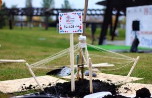 Всего было высажено 30 саженцев. Фото: Полина Логачева, пресс-служба префектуры ЮАО