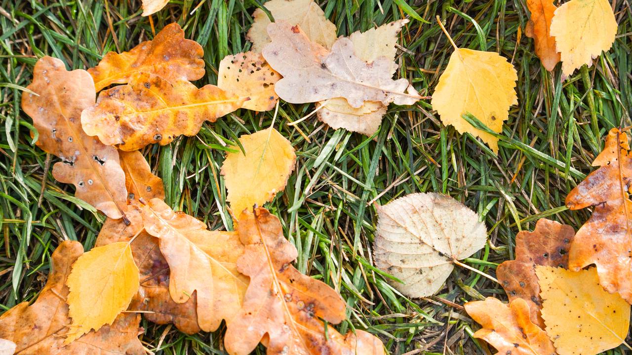 Волонтеры Троицка собрали и доставили в зону СВО более 220 тонн гумпомощи