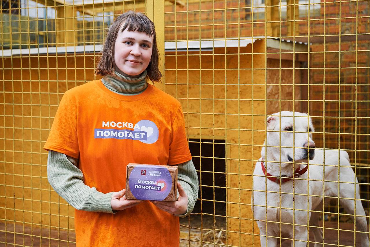 Партия гуманитарной помощи поступила в белгородский центр содействия животным «Причал». Фото: пресс-служба Комитета общественных связей и молодежной политики города Москвы