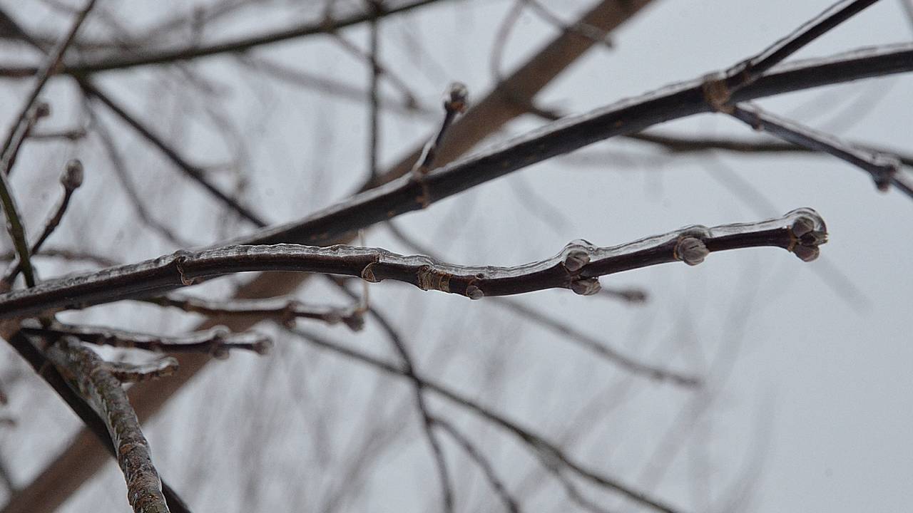 «Желтый» уровень опасности из-за гололедицы продлен в Москве до вечера среды. Фото: Анна Быкова, «Вечерняя Москва»