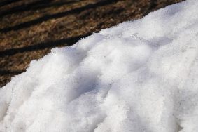 Температура продолжает расти. Фото: Анна Быкова, «Вечерняя Москва»