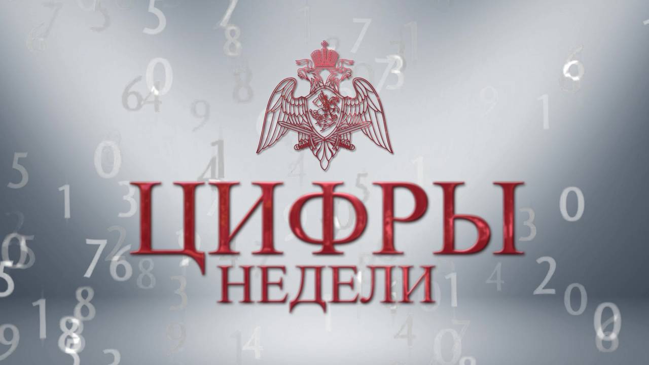 Итоги служебно-боевой деятельности подразделений Главного управления Росгвардии по г. Москве за прошедшую неделю