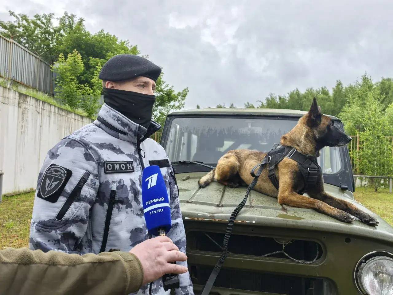 Главное управление Росгвардии по городу Москве поздравляет работников телевидения с профессиональным праздником