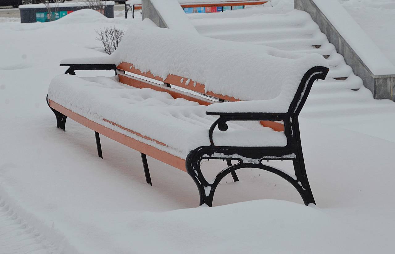 Более 600 человек объединяет центр помощи нуждающимся «ЛетитеБабочки». Фото: Анна Быкова, «Вечерняя Москва»