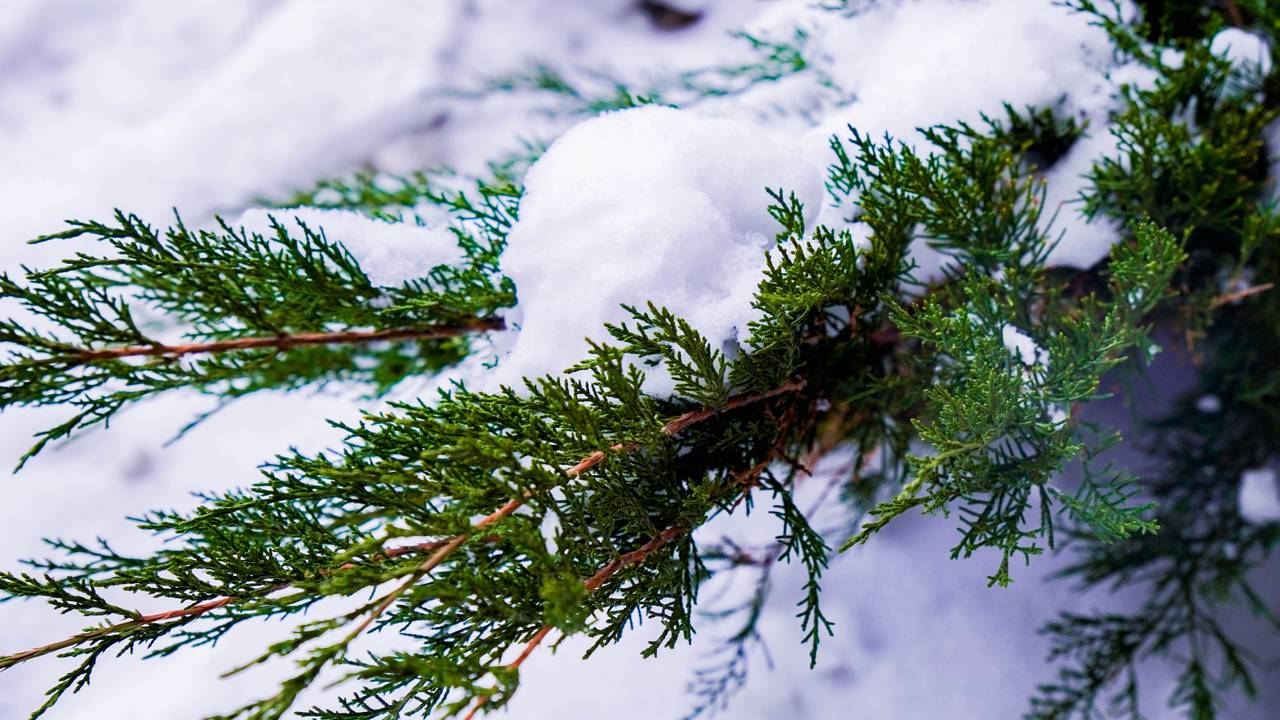 Москвичей и туристов ждет долгожданный снег и похолодание. Фото: Ксения Догонашева, «Вечерняя Москва»
