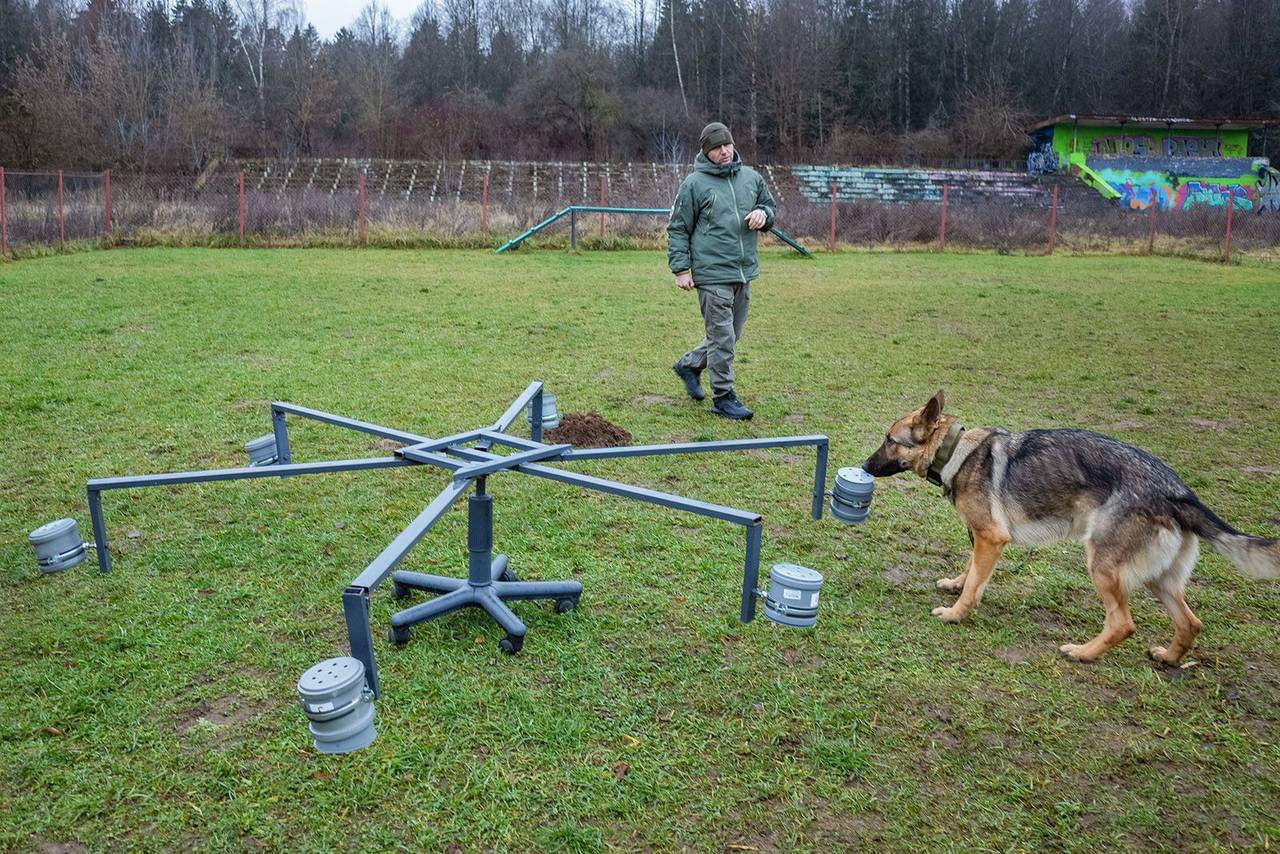 В зону СВО передали шесть служебных собак, в настоящее время готовят еще трех. Фото: Объединение культурных и досуговых центров Зеленоградского административного округа