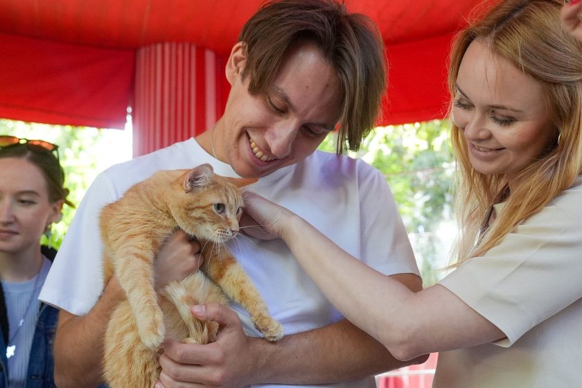 Последние и организуют выставки-пристройства в различных округах города. Фото: пресс-служба комплекса городского хозяйства Москвы