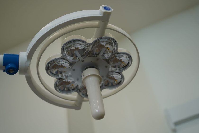 Ветеринары отметили, что такая аномалия в организме животного могла возникнуть как при рождении – гастрошизис, так и при травматическом случае. Фото: Анна Быкова, «Вечерняя Москва»