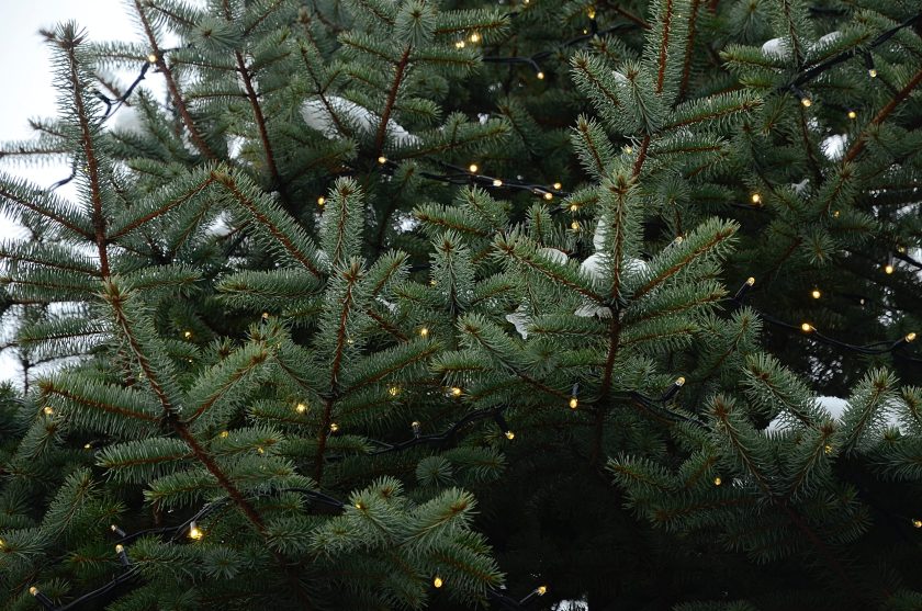 А во второй день для гостей проведут праздник под названием «Царская зима». Фото: Анна Быкова, «Вечерняя Москва»