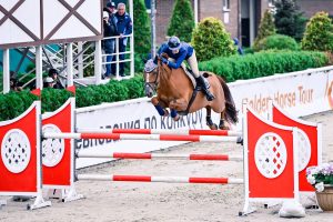 На фото лошадь по кличке Леди Берд. Фото предоставила Анна Прокофьева, администратор КСК «Битца»