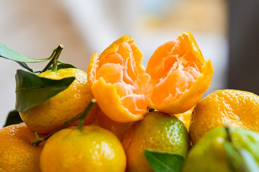 Все плоды после отправят нуждающимся, которые проживают на приграничных территориях, а также участникам специальной военной операции. Фото: пресс-служба Департамента торговли и услуг города Москвы