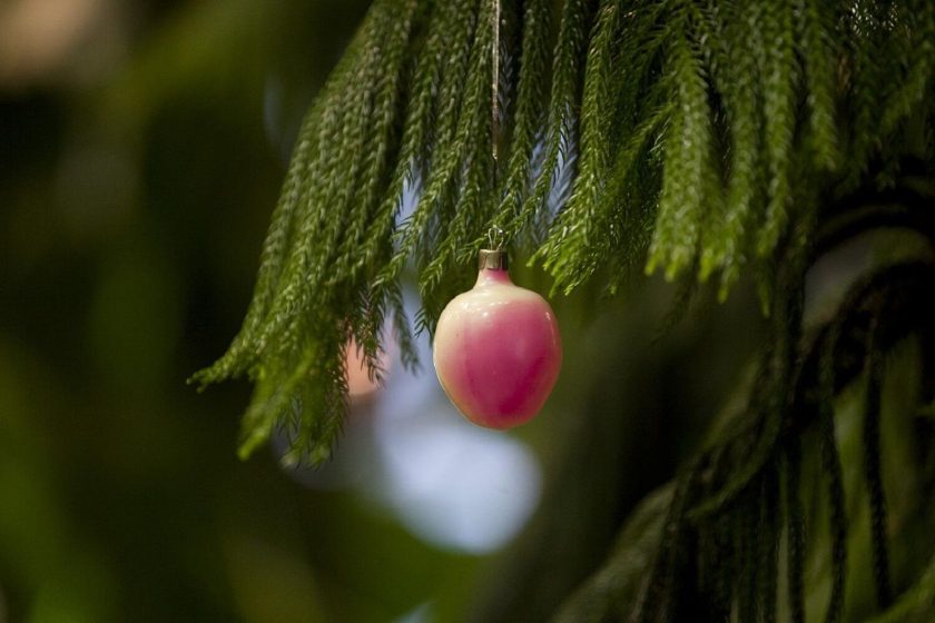Масштабную новогоднюю программу «Новый год в царстве Флоры» развернут с 24 декабря и по 11 января на территории музея-заповедника «Царицыно», который расположен в одноименном районе юга Москвы. Фото: сайт мэра Москвы