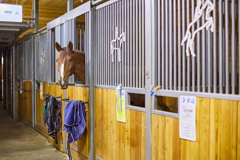 Строительство Конноспортивного клуба «Битца» начали в 1977 году. Фото: Медиабанк «Мосфото»