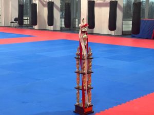 Кубок победителя Чемпионата мира по каратэ киокушинкай. Московский центр боевых искусств. Фото: Геор Габараев, «Вечерняя Москва»