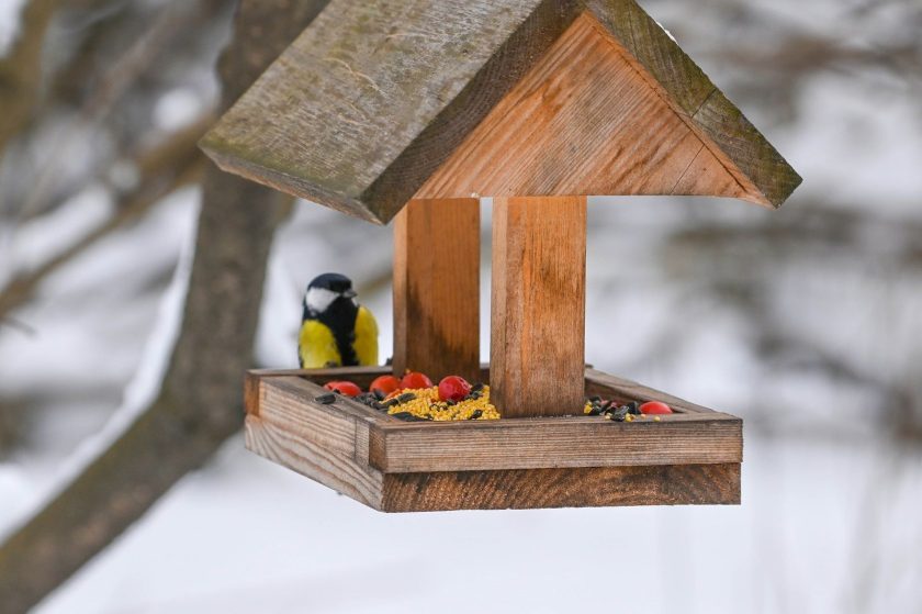 Для изготовления кормушек для птиц активистам предложили использовать экологичные, а также съедобные материалы такие как дерево, фанера, джут, керамика, шишки, зерновые смеси. Фото: сайт мэра Москвы