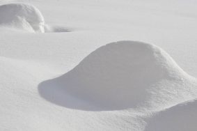 Температура будет ниже климатической нормы на 7 градусов. Фото: Анна Быкова, «Вечерняя Москва»