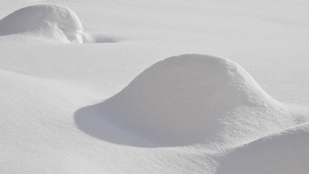 Температура будет ниже климатической нормы на 7 градусов. Фото: Анна Быкова, «Вечерняя Москва»