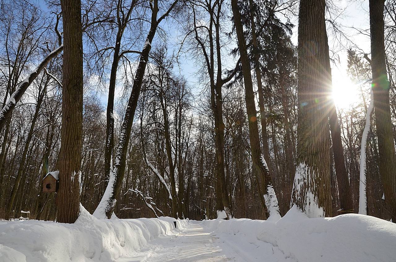 Потепление ожидает москвичей после 19 января