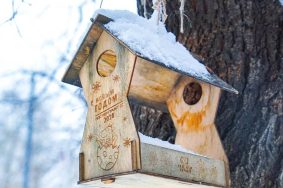 К середине недели температура воздуха в Москве и области максимально приблизится к климатической норме. Фото: Ксения Догонашева, «Вечерняя Москва»