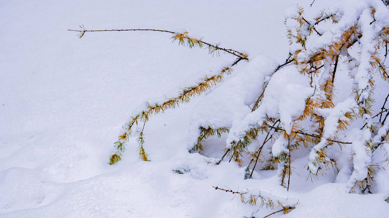 Спасатели патрулируют водоемы столицы