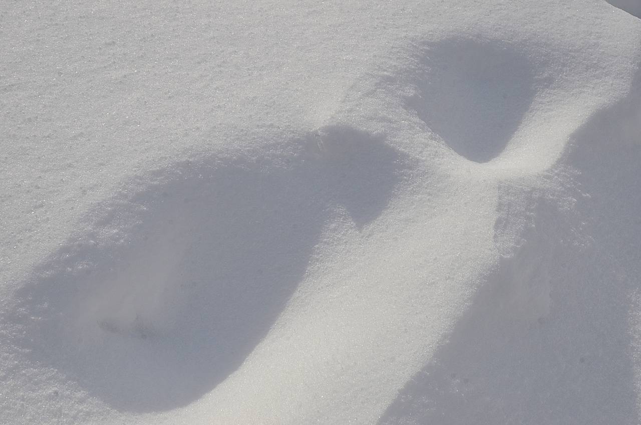 На Юге столицы проходят рейды по несанкционированным горкам