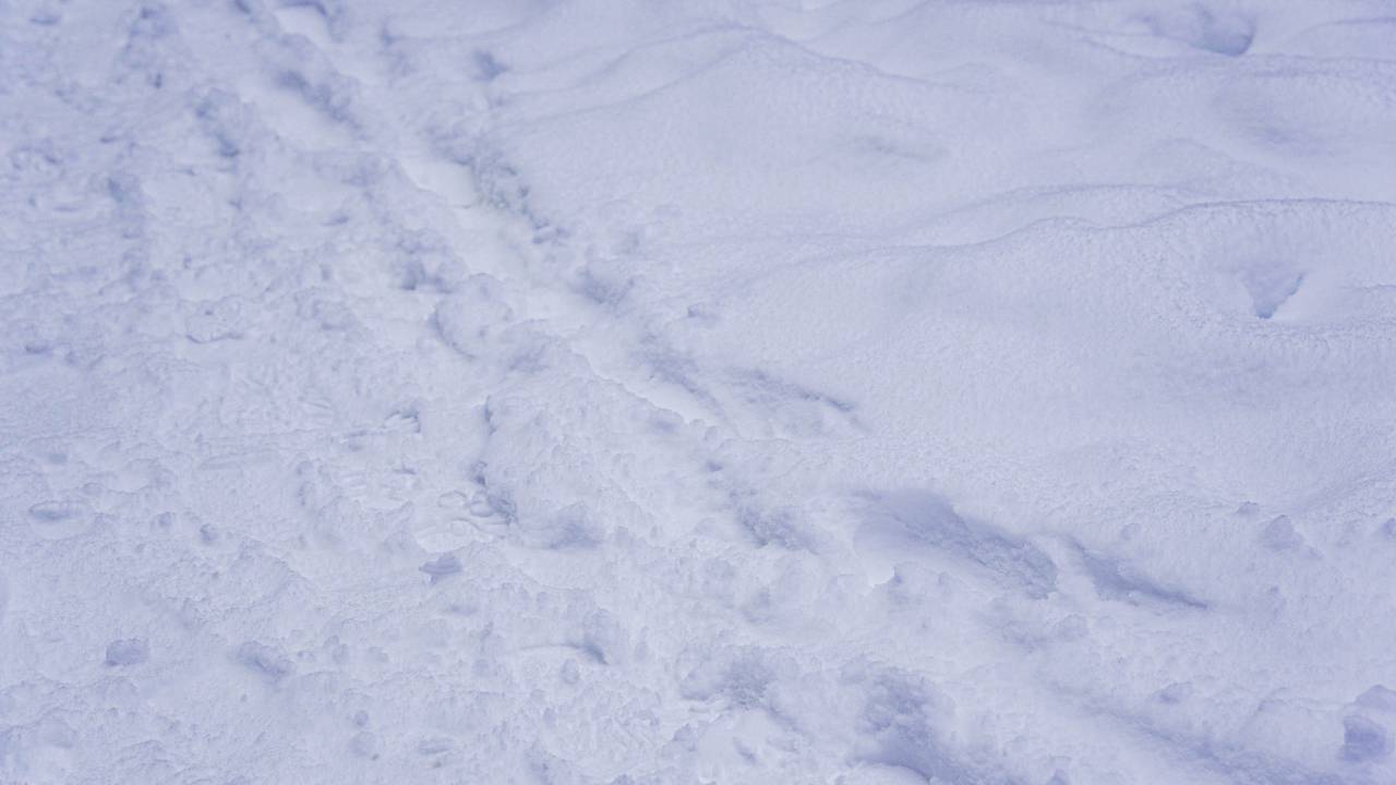 Напоминаем правила безопасности при катании на ватрушках