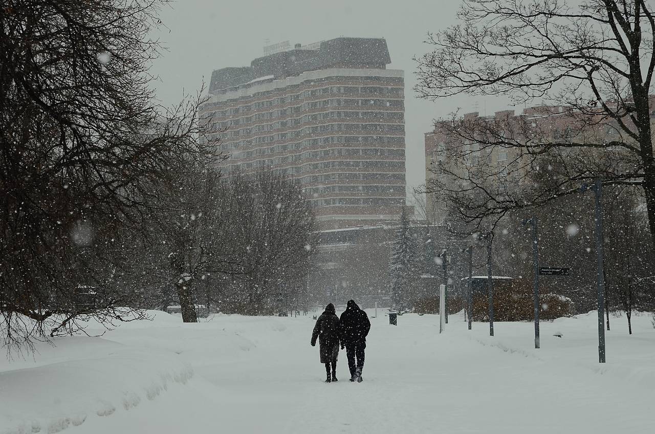 За вторник и среду может выпасть до 15 сантиметров снега. Фото: Анна Быкова, «Вечерняя Москва»