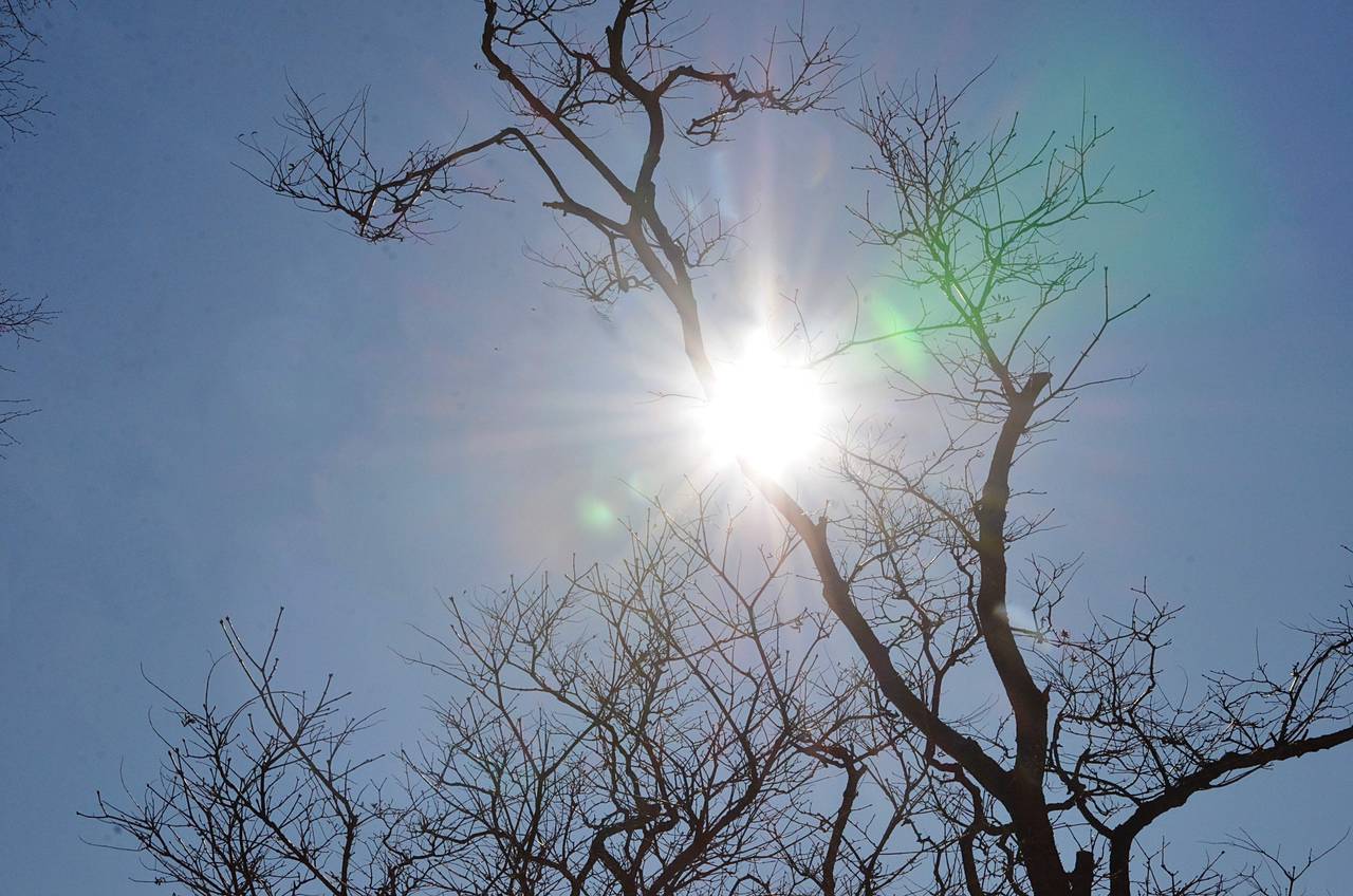 «Три солнца» могут взойти над Подмосковьем из-за морозов