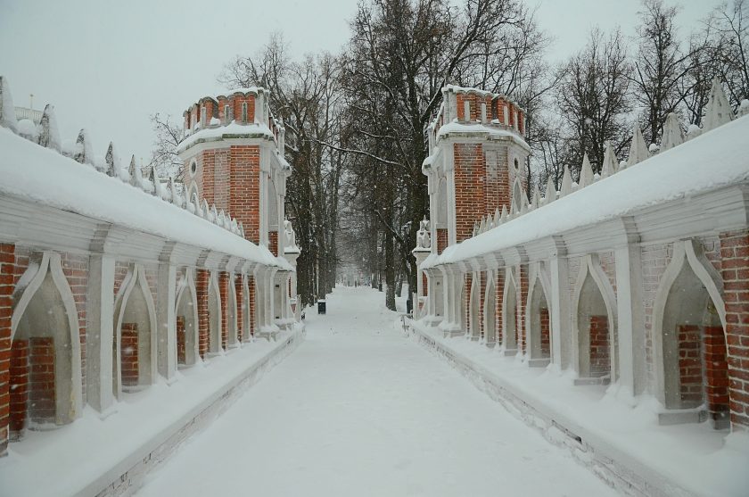 В основном это представители старшего возраста, а также члены многодетных семей и военнослужащие. Фото: Анна Быкова, «Вечерняя Москва»