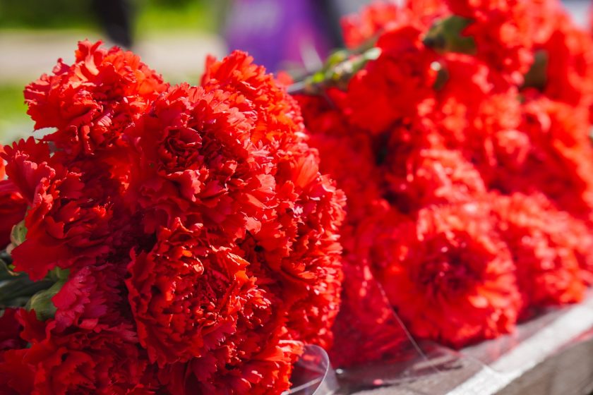 В период Великой Отечественной войны педагог столичного отраслевого вуза сражался на Ленинградском, втором Белорусском и третьем Прибалтийском фронтах в должности офицера-разведчика. Фото: Ксения Догонашева, «Вечерняя Москва»