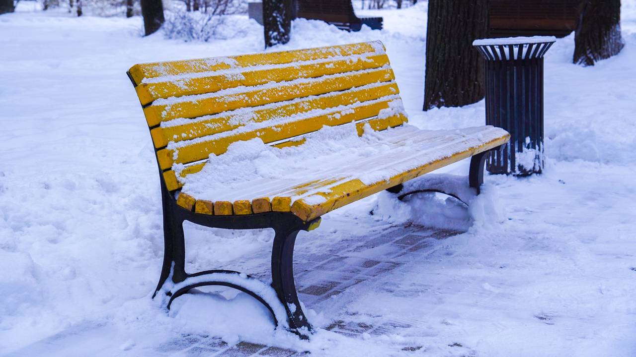По прогнозу днем 12 февраля снегопад продолжится, за это время ожидается от 3 до 5 миллиметров осадков. Фото: Ксения Догонашева, «Вечерняя Москва»