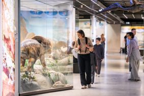 В рамках экскурсий, приуроченных ко Всемирному дню гида, горожане смогут совершить осмотр с рассказом о таких локациях юга столицы, как Донской монастырь и спортивный комплекс «Акватория ЗИЛ». Фото: Telegram-канал газеты «Вечерняя Москва»