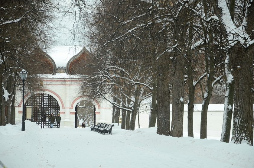 Куда пойти 21–22 февраля: афиша мероприятий в парках Москвы. Фото: Анна Быкова, «Вечерняя Москва»