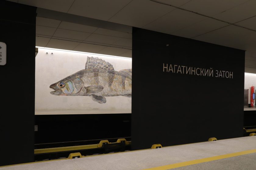 Одной из таких остановок является платформа «Нагатинский Затон», которая находится в одноименном районе Южного административного округа. Фото: Анатолий Цымбалюк, «Вечерняя Москва»