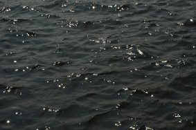 Главной целью защиты проектом станет такой ключевой морской объект РФ, как Северный морской путь. Фото: Анна Быкова, «Вечерняя Москва»