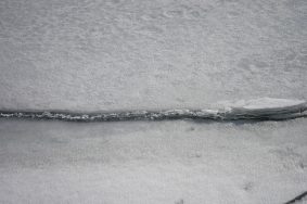 Далее четверо героев оказались в воде, чтобы обозначить чрезвычайную ситуацию. Фото: Анна Быкова, «Вечерняя Москва»